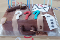 Torte Koffer ???