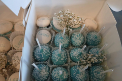 CakepopsMacaronsBedruckt