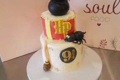 Harry Potter Rot