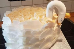 Schwan