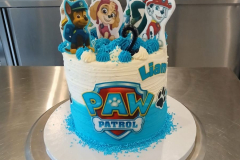 TortePawPatrol