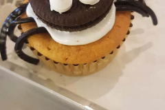 Spinnenmuffin